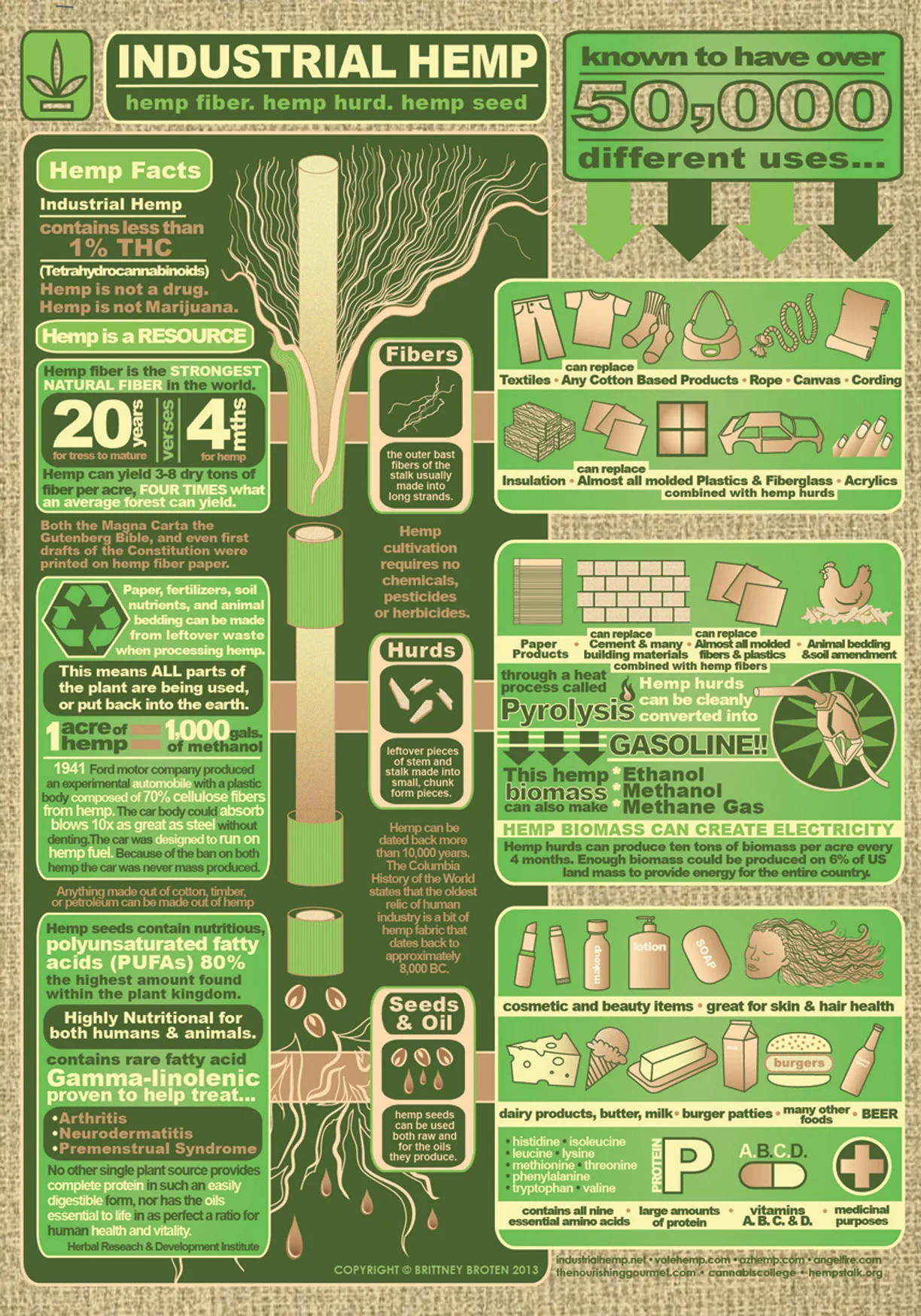 uses-of-hemp.jpeg