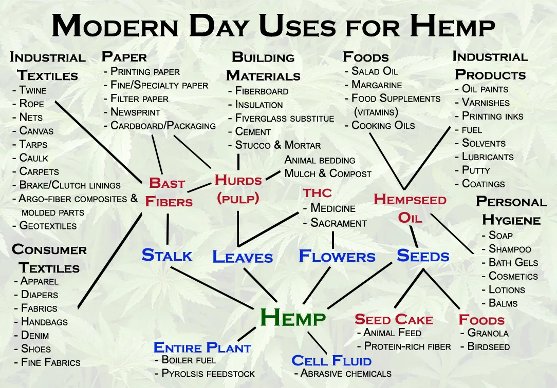 modernday-uses-of-hemp.jpeg
