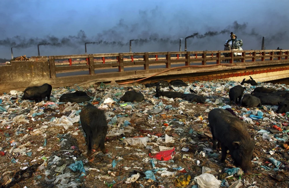 urban-wastes-4.jpg