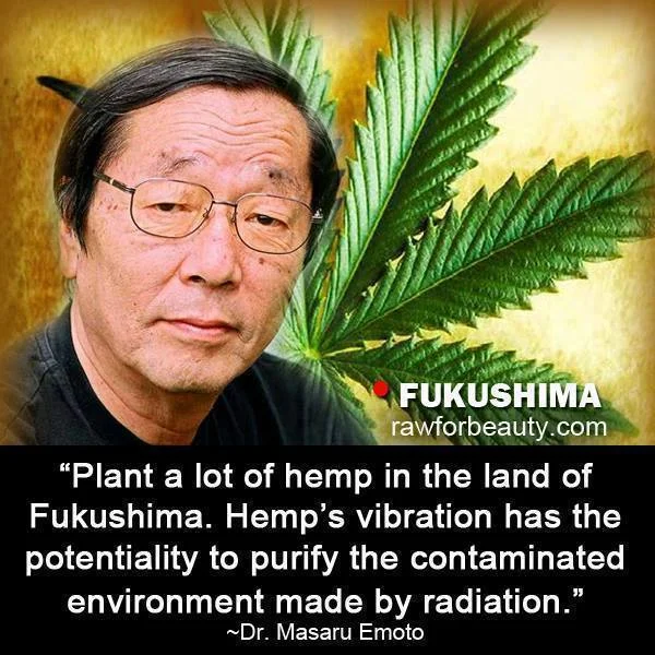 masaru-emoto-hemp.jpeg
