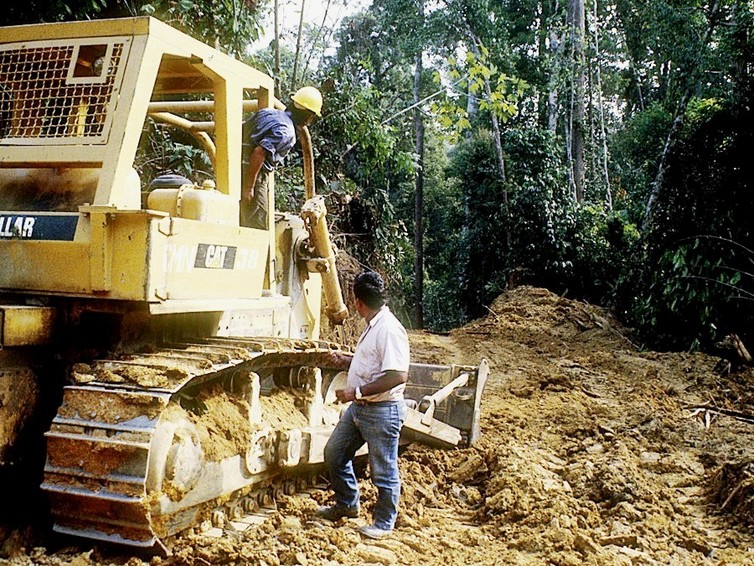deforestation-story-3.jpeg