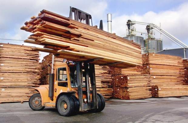 deforestation-story-9.jpeg