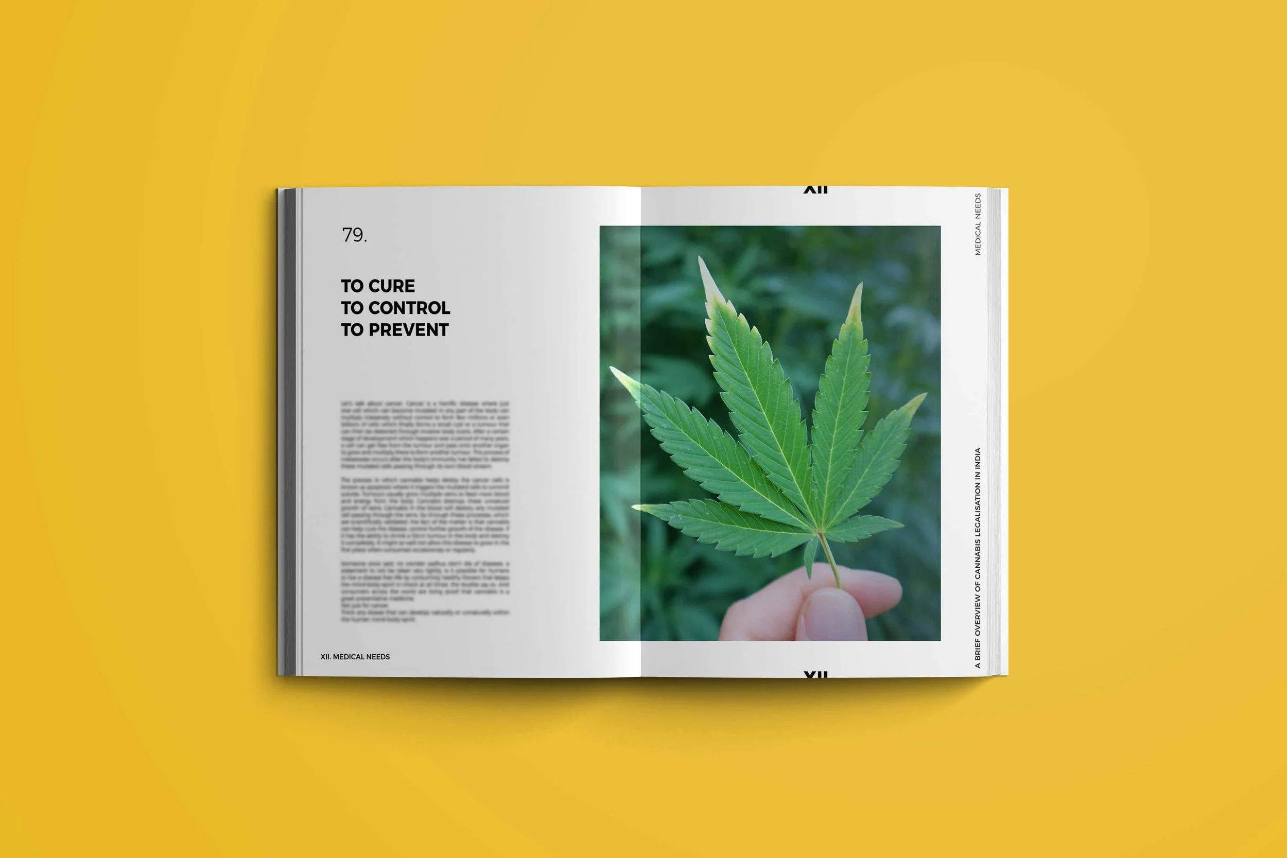 mockup-5-web-blur.jpg