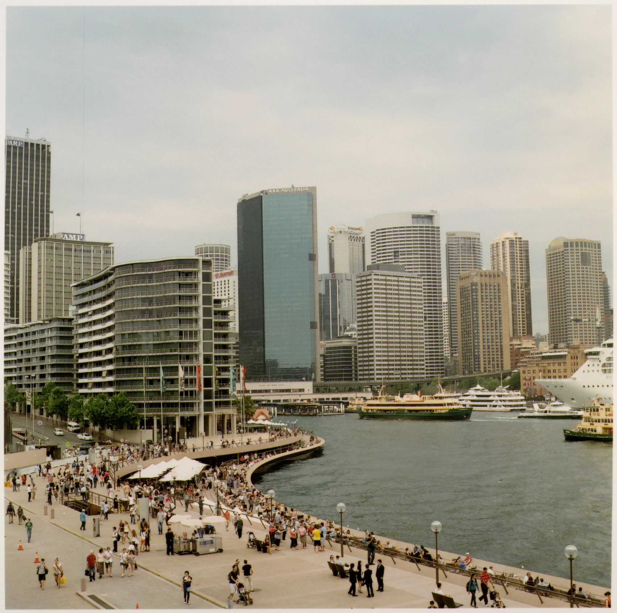 J Grange Sydney Shoreline.jpeg