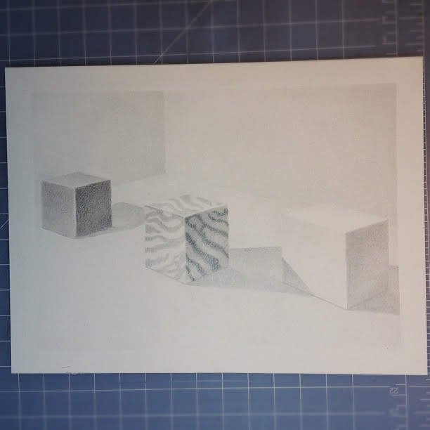 white-cube-black-cube-animal-print-white-room-one-light-source-lightoptics-graphite-rendering-illustration-noreference_8107239053_o.jpg