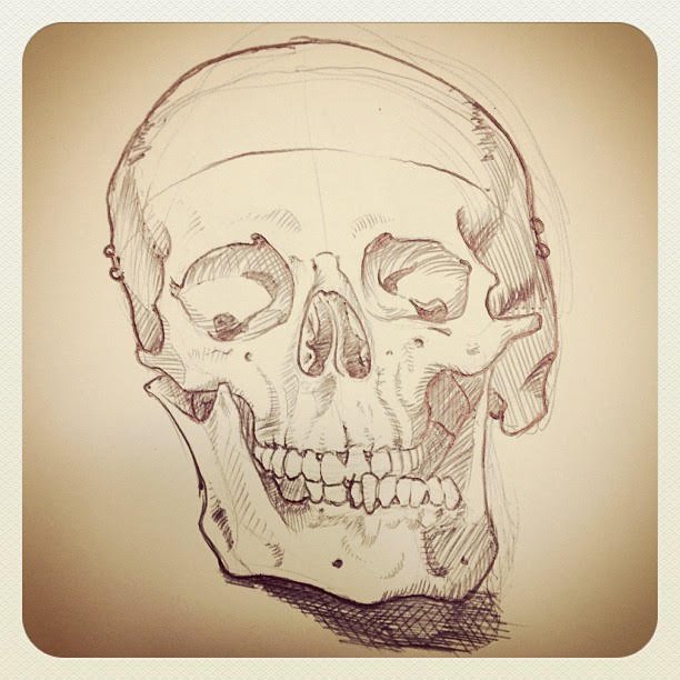 here-is-another-one-ballpointpen-illustration-skull-sketchbook_8147068026_o.jpg