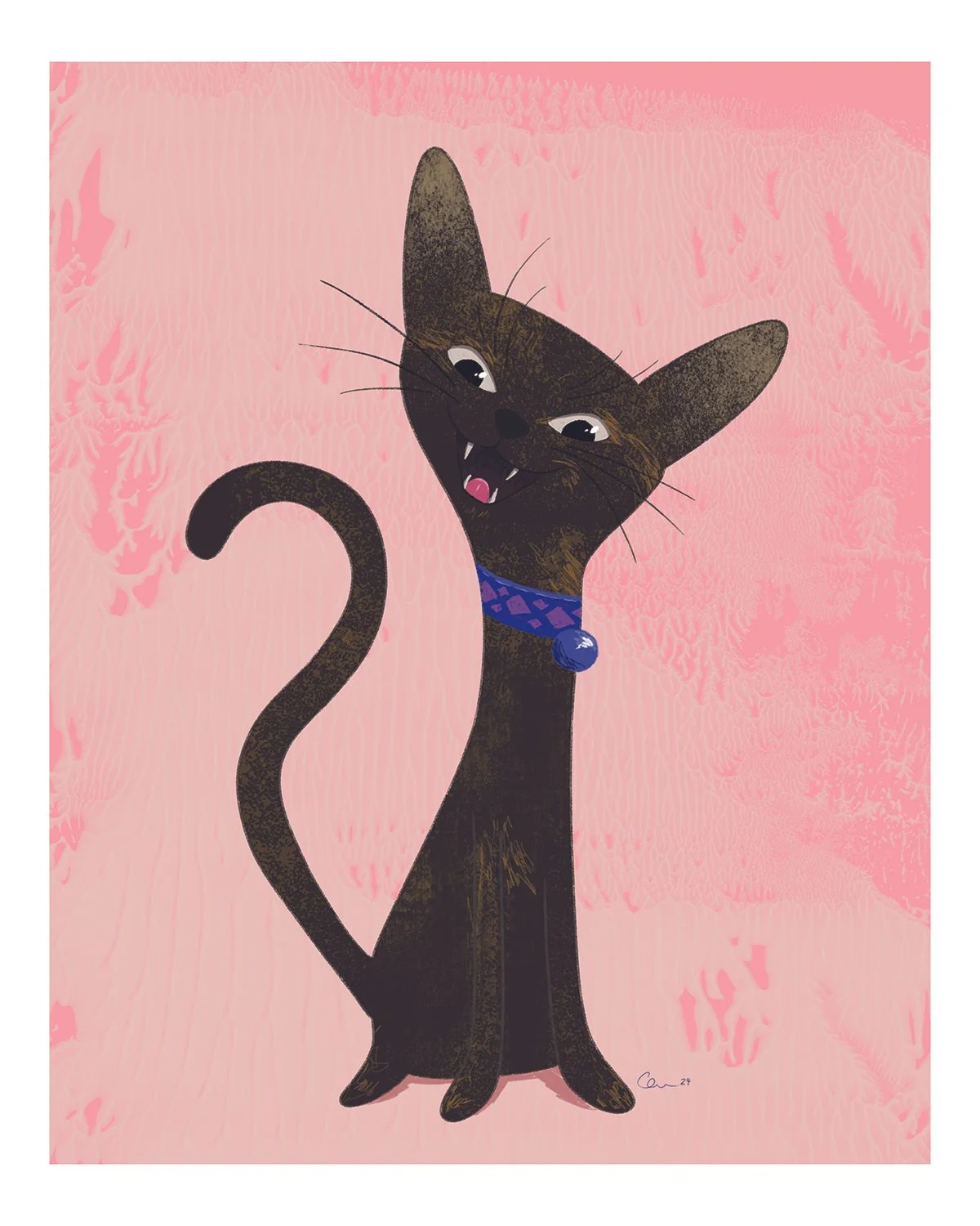 Jack_Cat_Web_Zollna.jpg