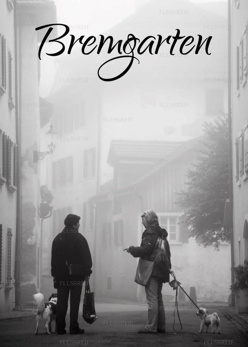 Bremgarten Postkarten