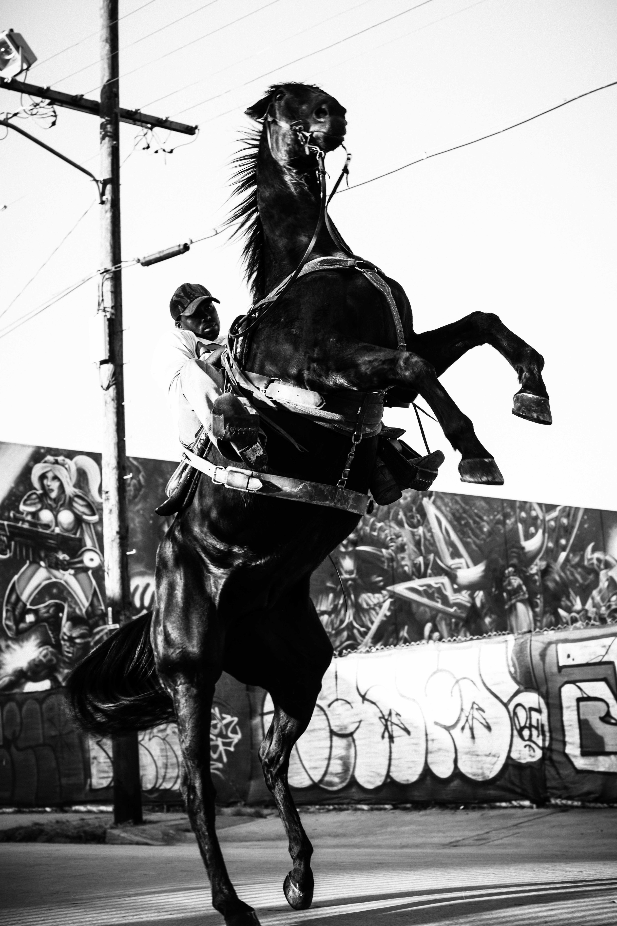 untitled-16.jpg