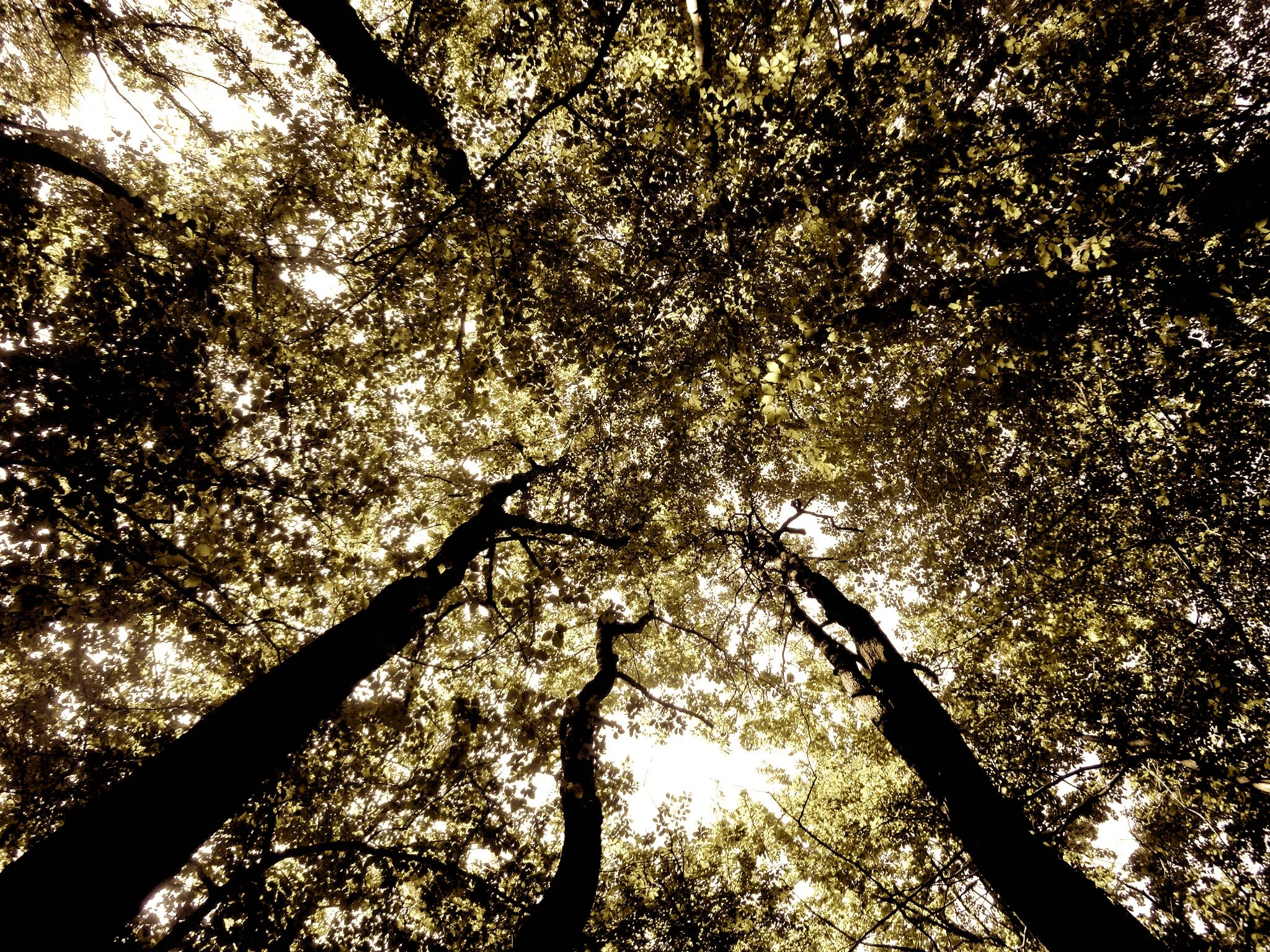 How I healed my body from Stress and changed my life