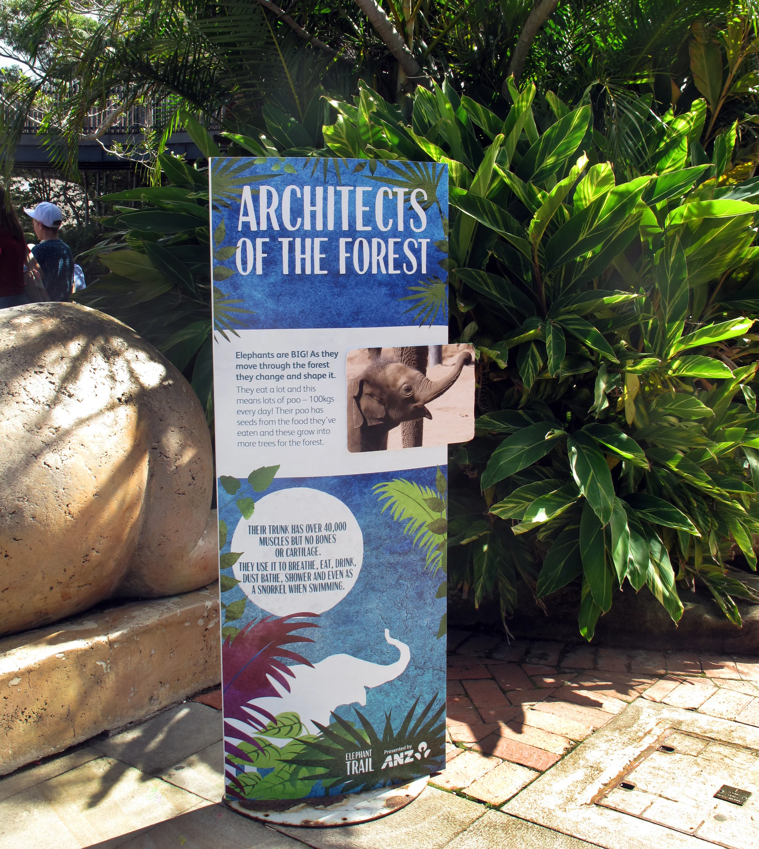 Architects_Insitu.jpg