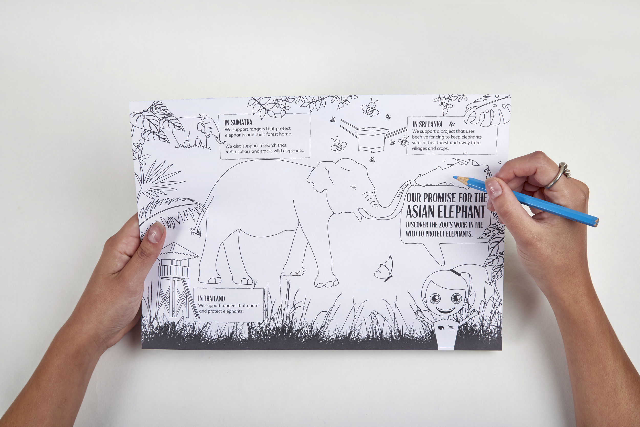 Elephant ColouringIn.jpg