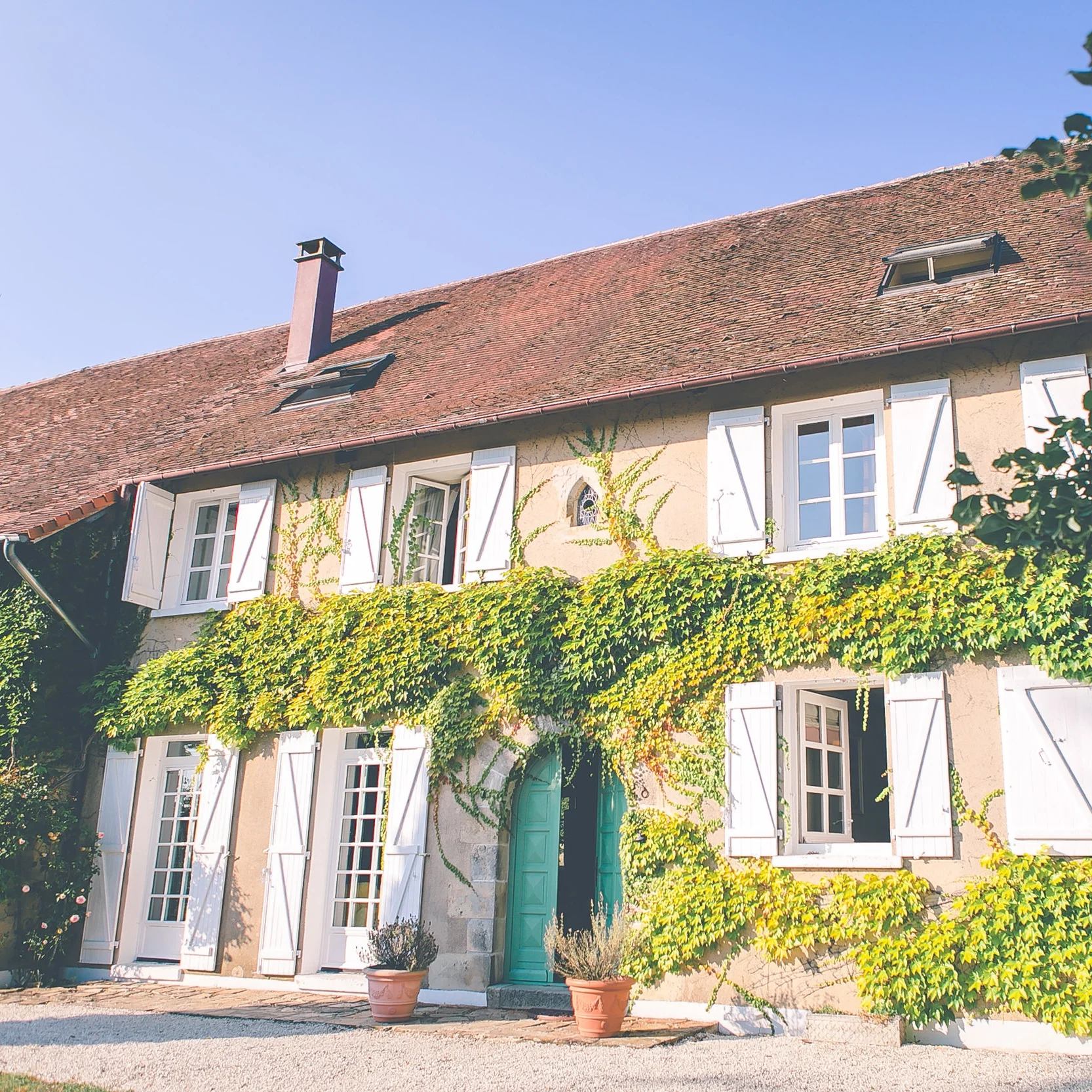 credit Ocean Taylor.jpg