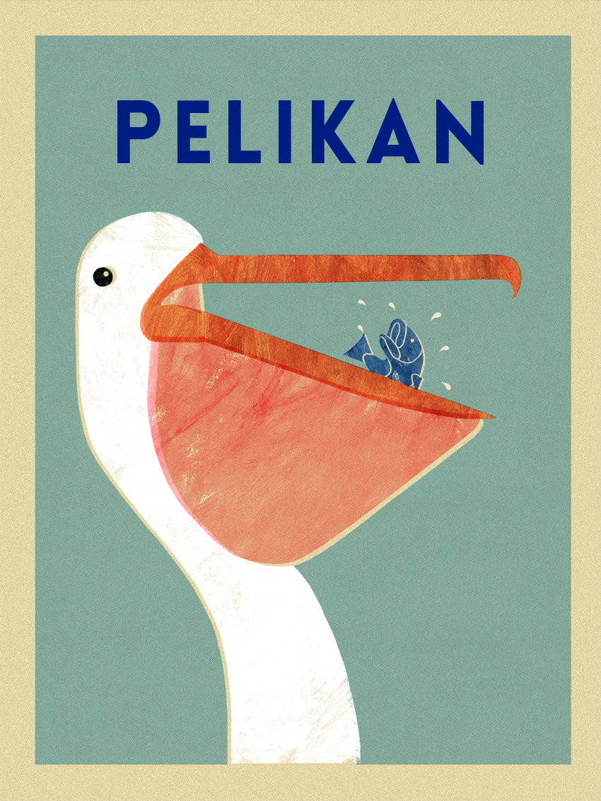 Pelikan