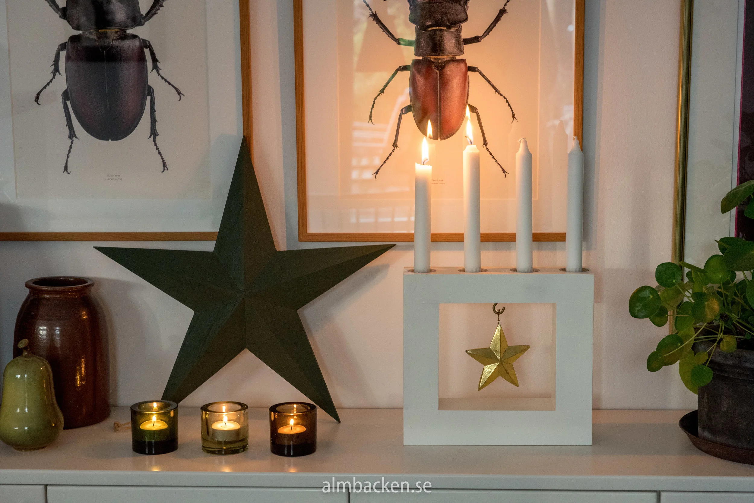 advent (1 of 1).jpg