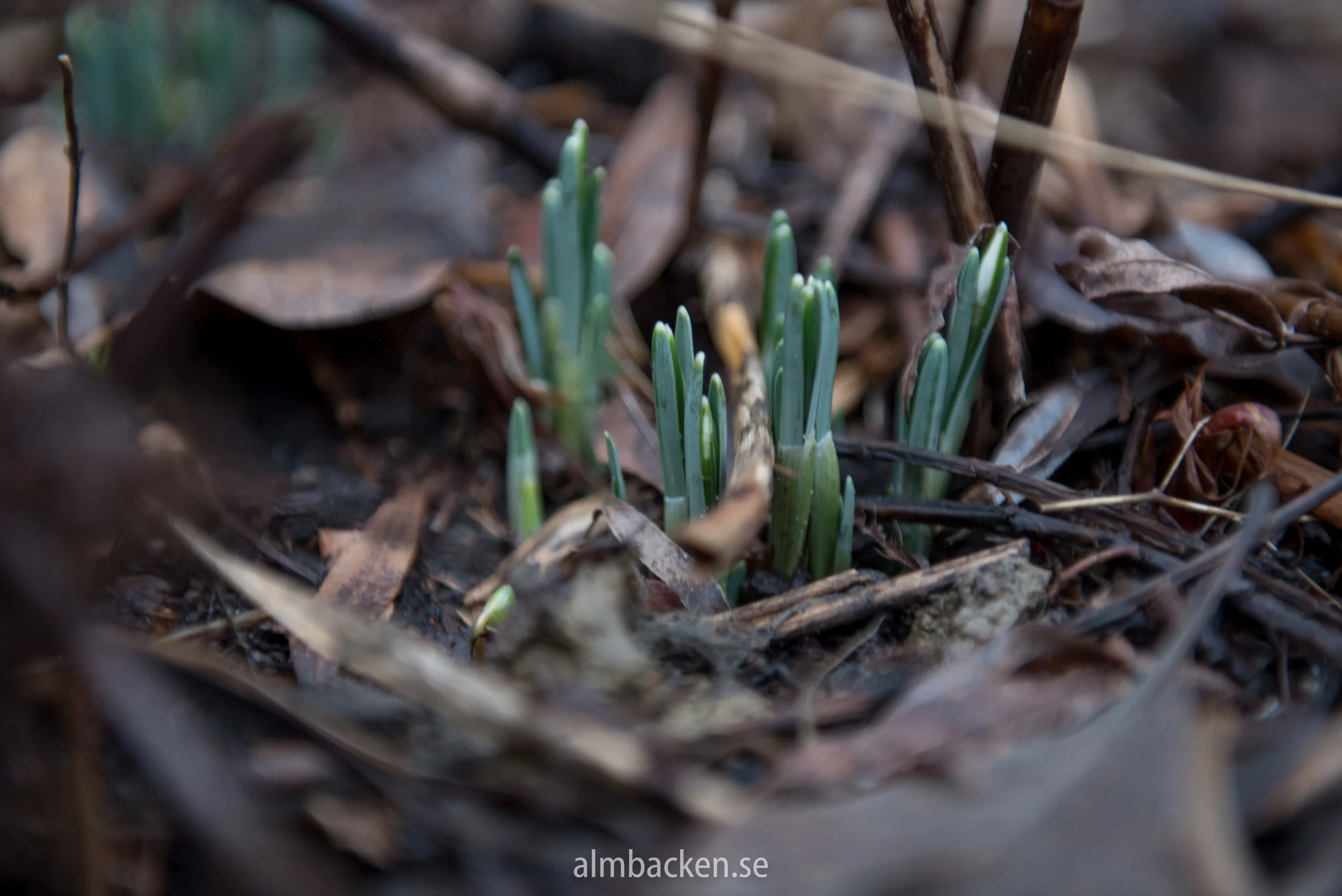 20180125-untitled-DSC_2927.jpg