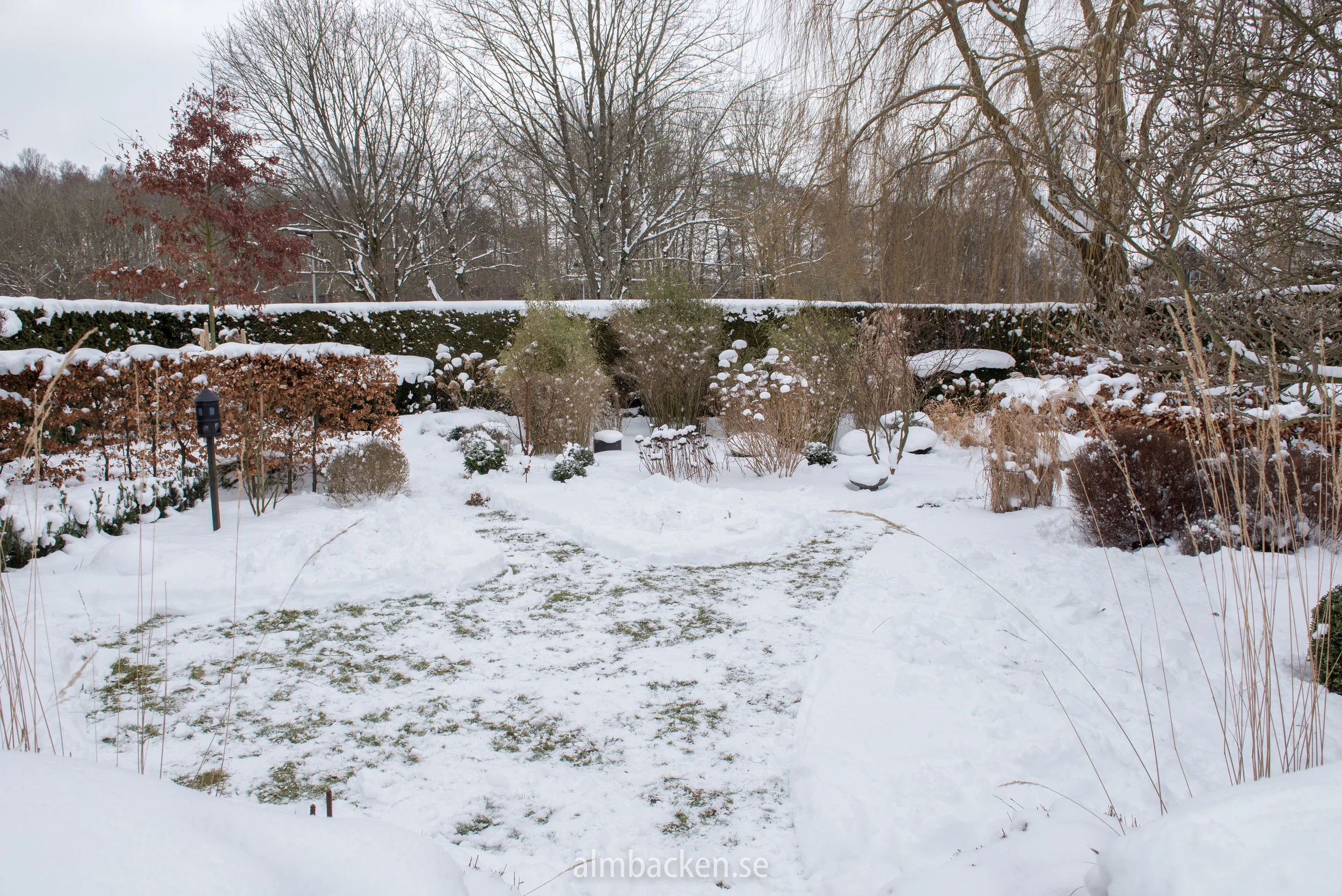 Rabatter-i-snö-2.jpg