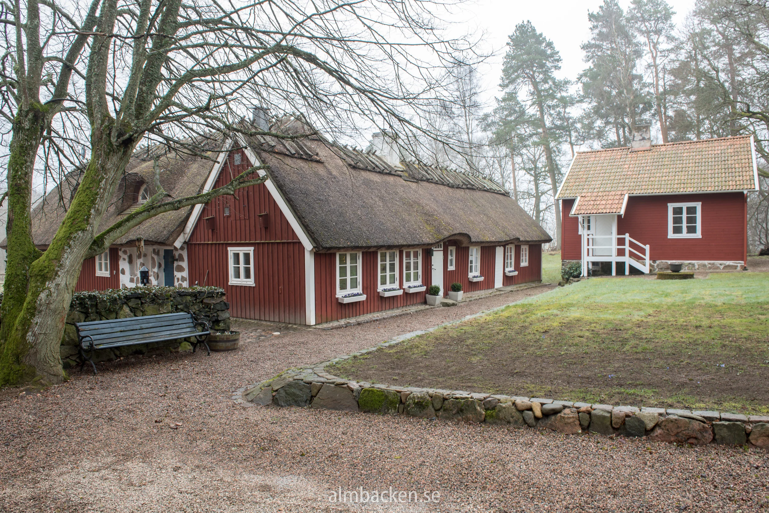 Algomin-gräsmatta-gödning.jpg