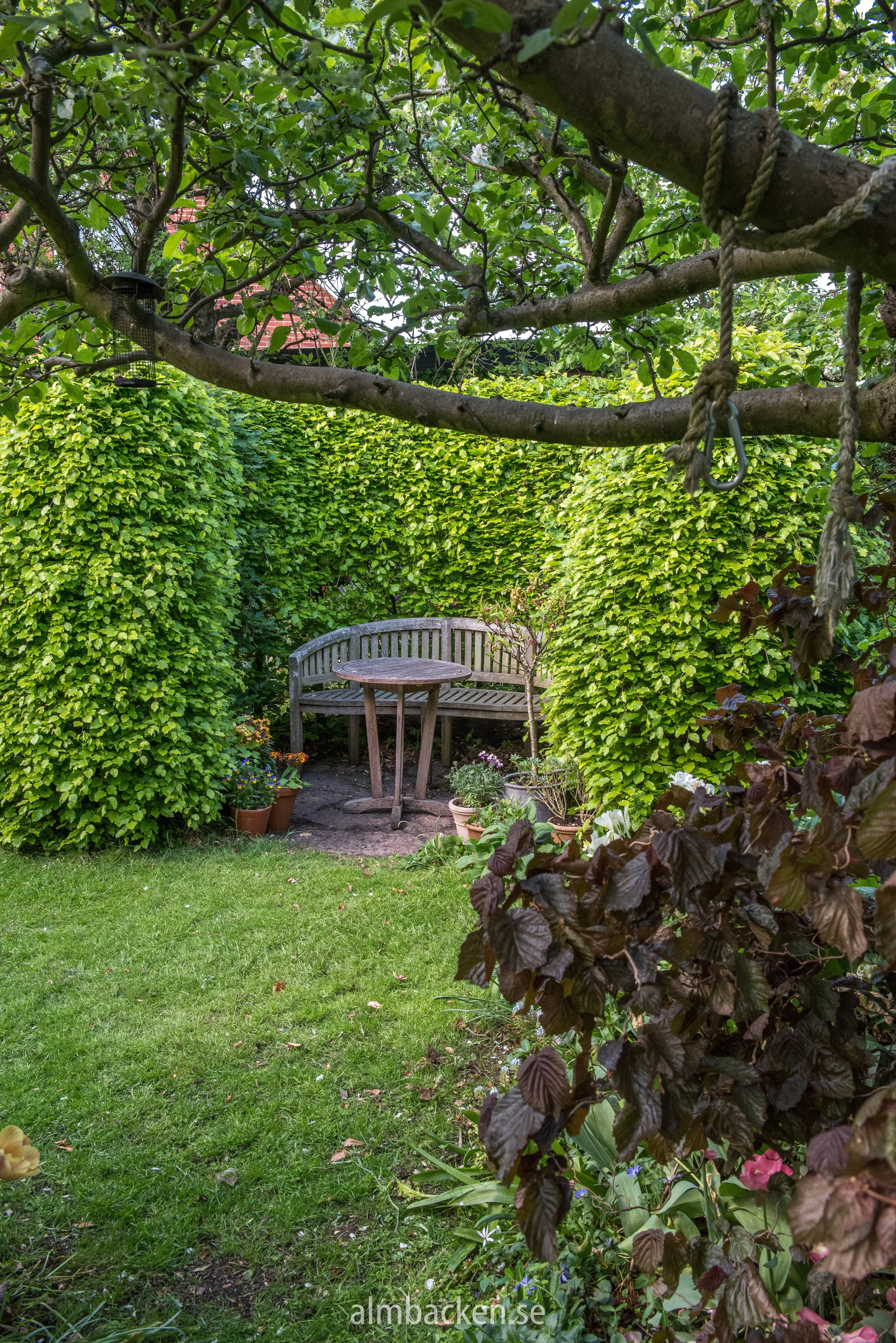 Helenas trädgård-8.jpg