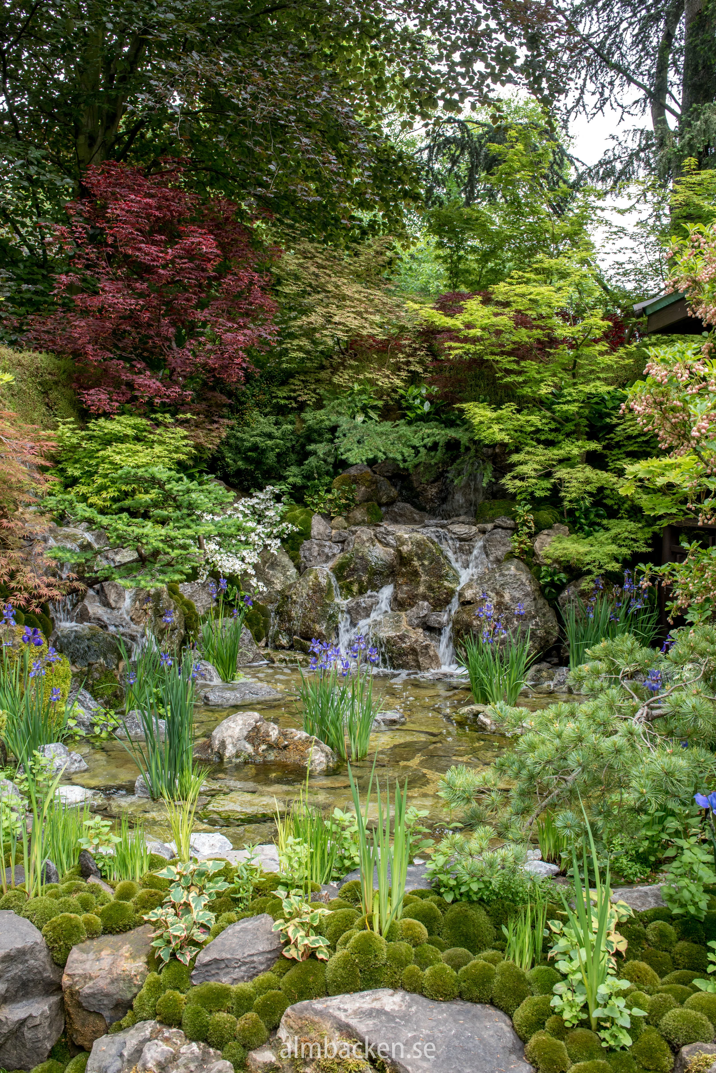 CFS-2018-chelseaflowershow-artisan-garden.jpg