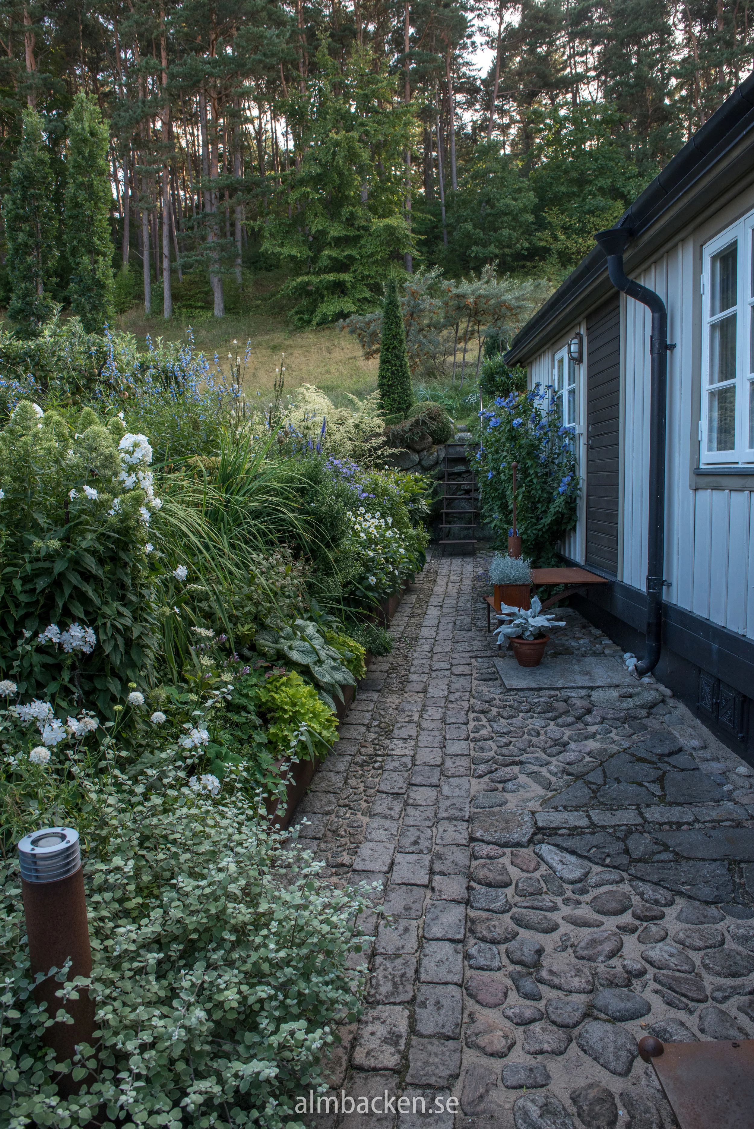 Vitemölla 2-10.jpg