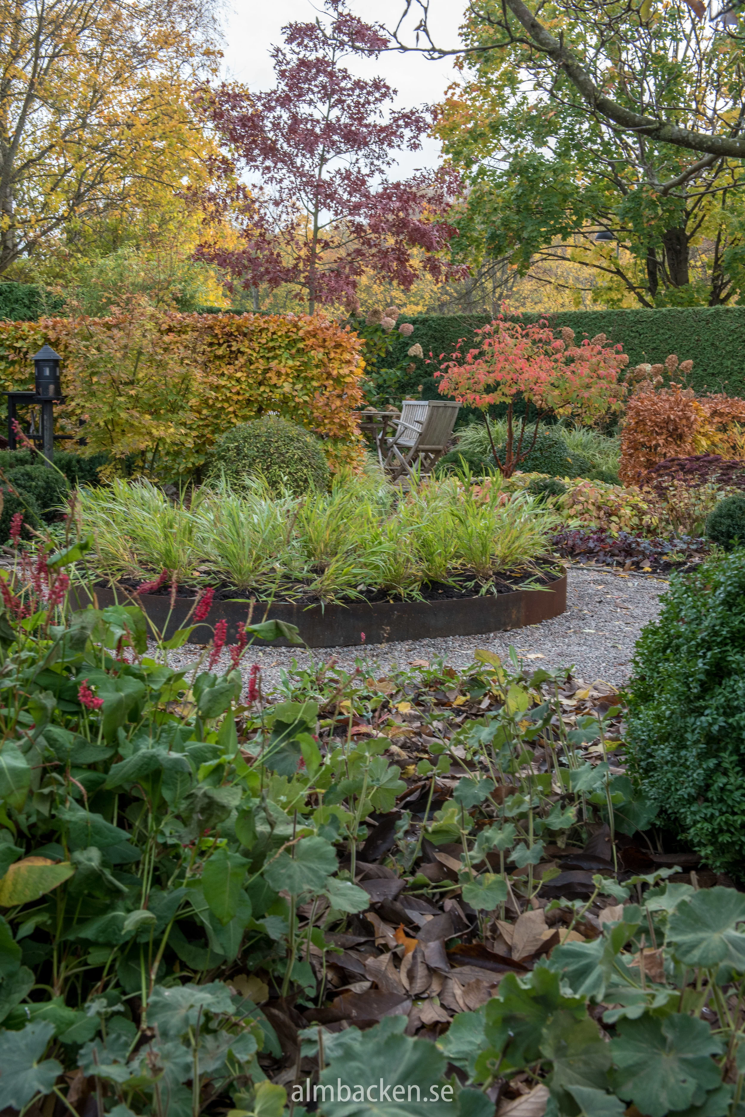 almbacken-tradgardsdesign-cortenstal-hakonegras-kopparlonn.jpg