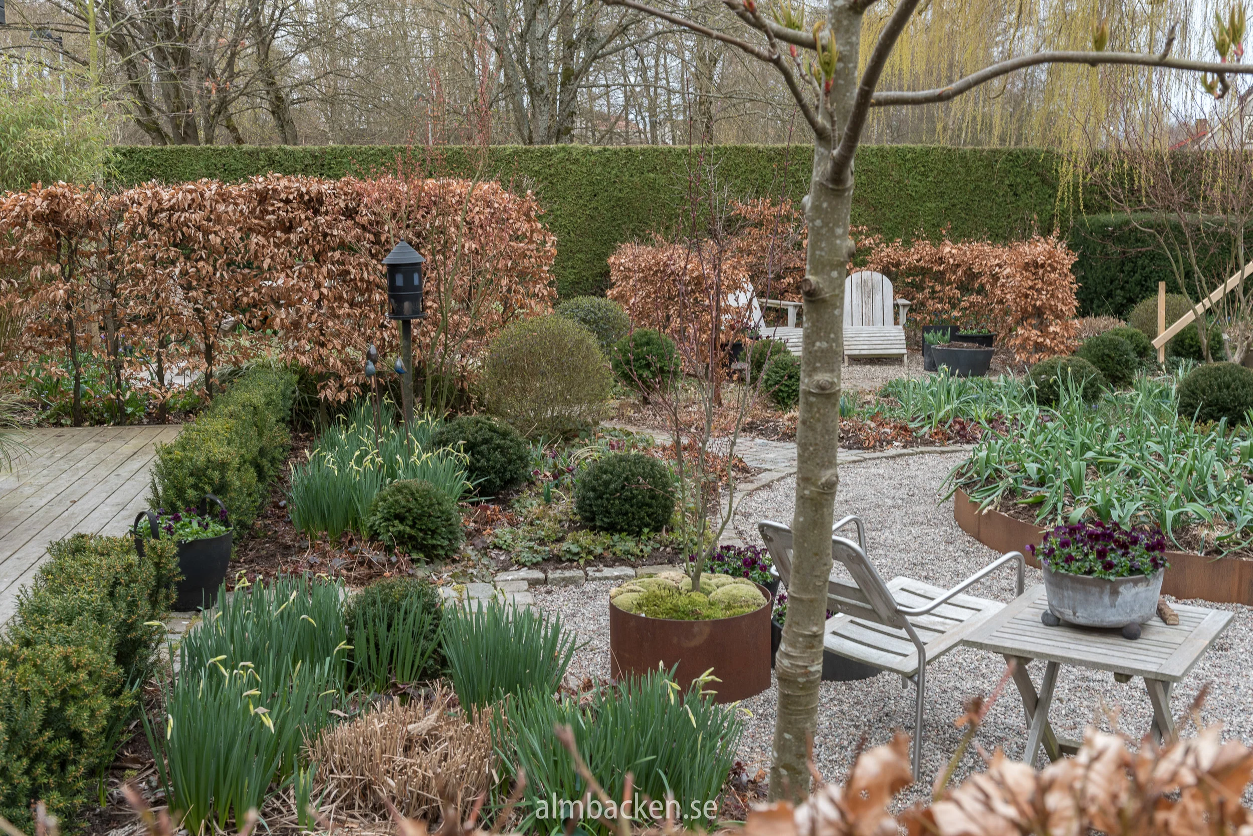 12 april-5.jpg