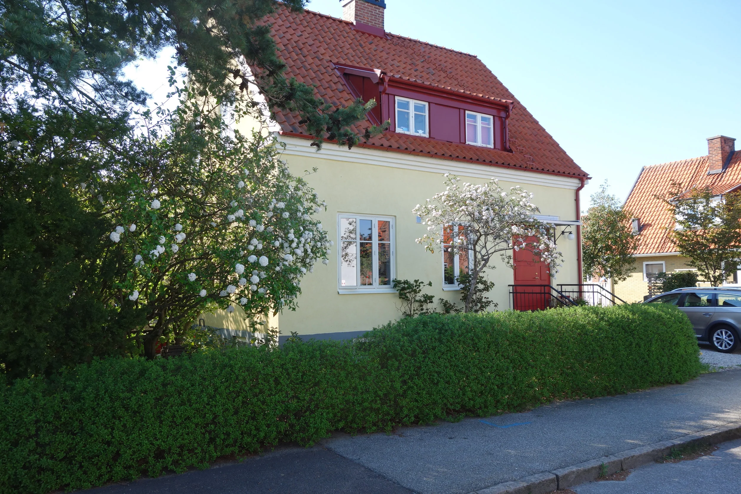 DSC07263.jpg