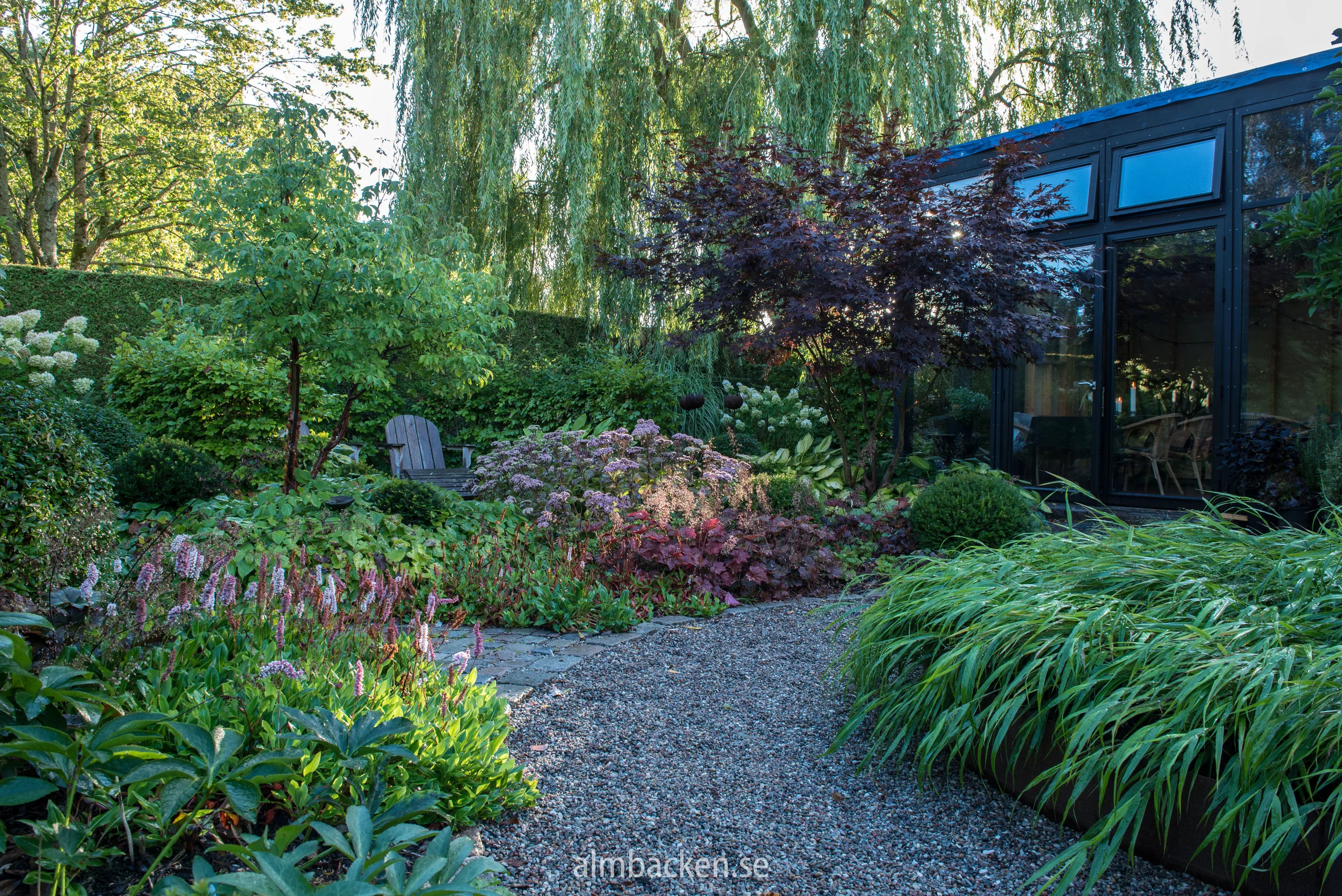 Hakonechola macra, Acer griseum, Acer palmatum ‘Margaret Bee’, Bistorta affinis ‘Darjeeling red’.