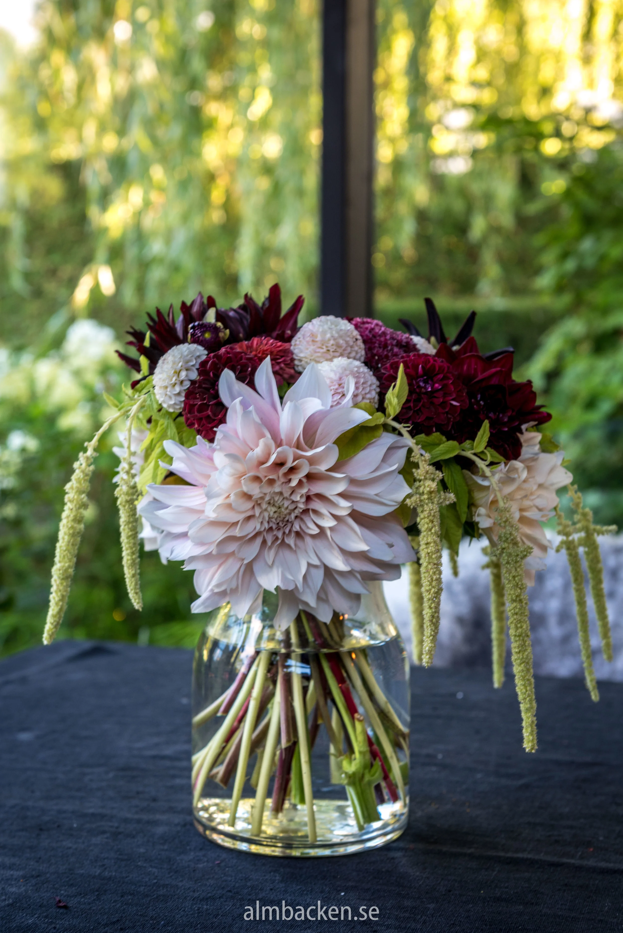 dahlior-bukett-almbackenjpg