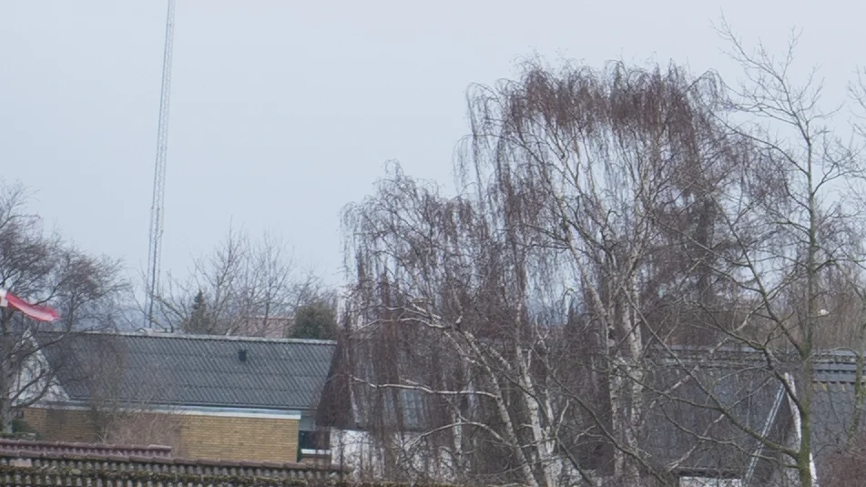f/8 Lower left corner. Still not as sharp as the other cornes, but only by a tiny margin, and within the margin of error that the conditions allowed today.