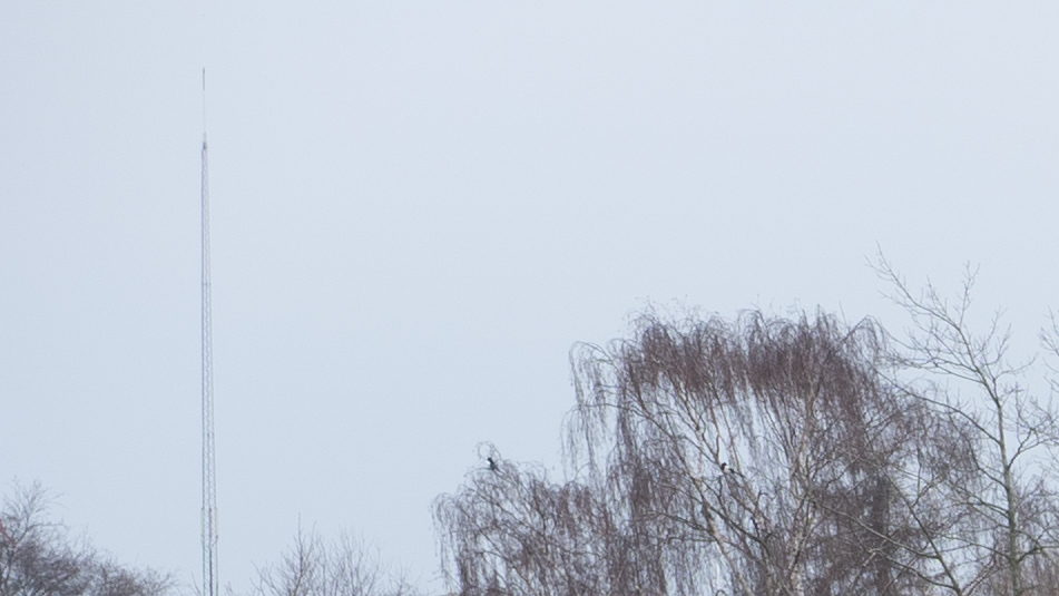 f/8 Upper left corner.