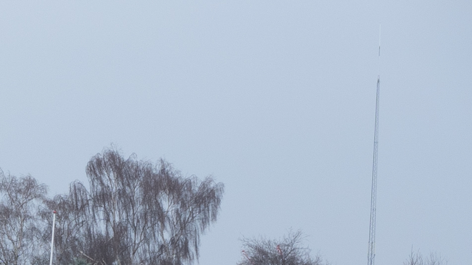 f/11 Upper right corner. Even sharpness all over the frame