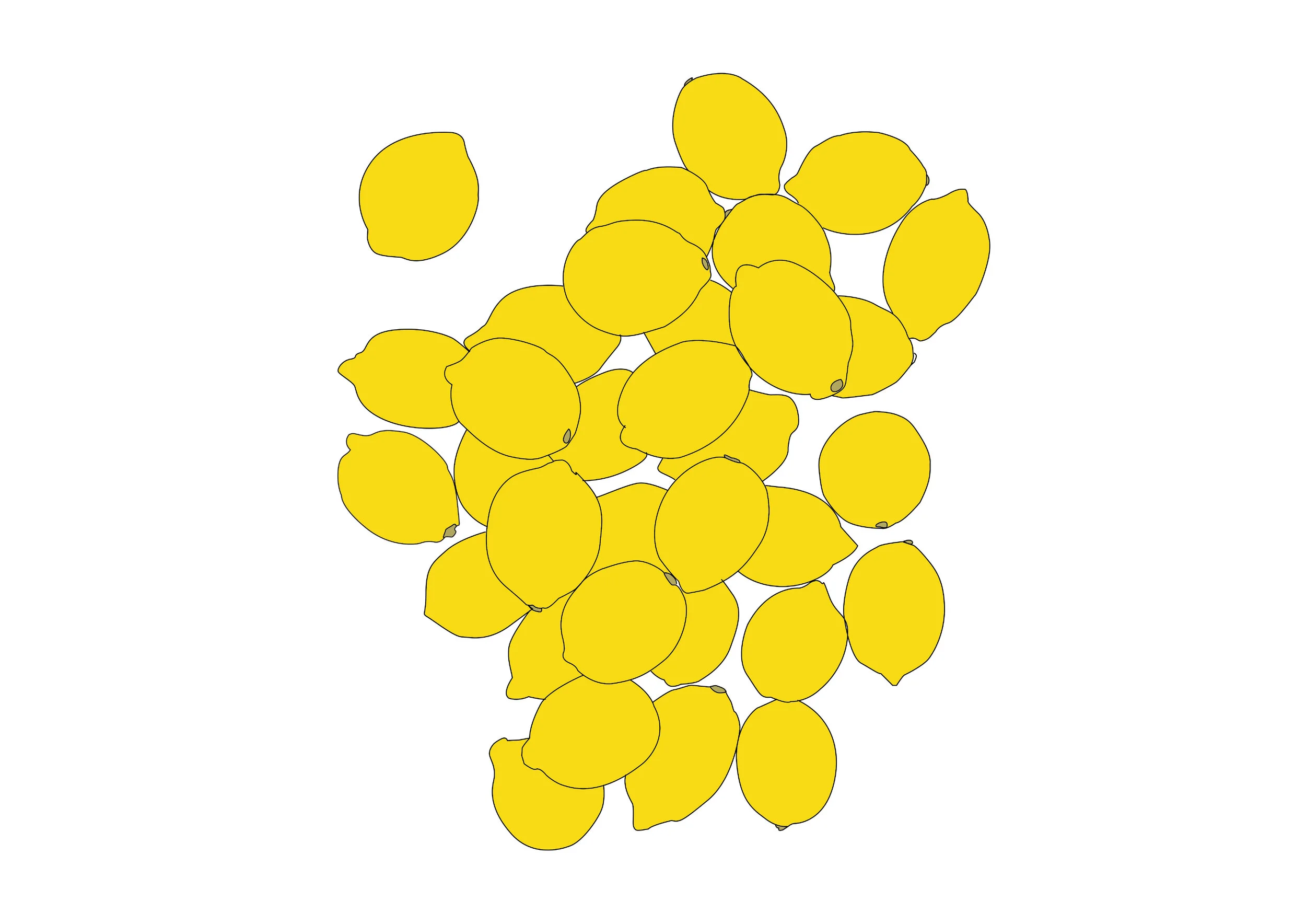 lemons landscape2.jpg