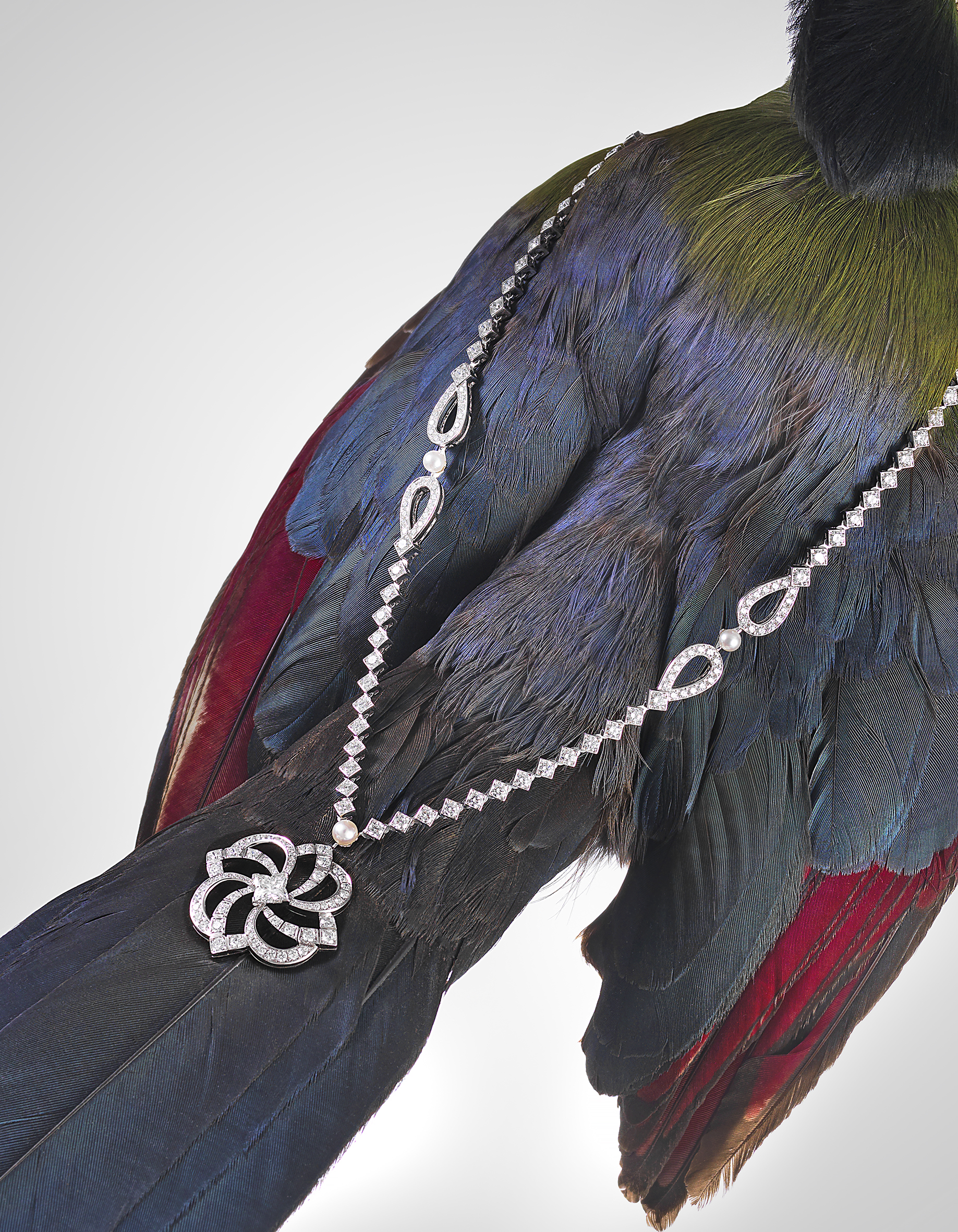 High jewellery-bird main.jpg