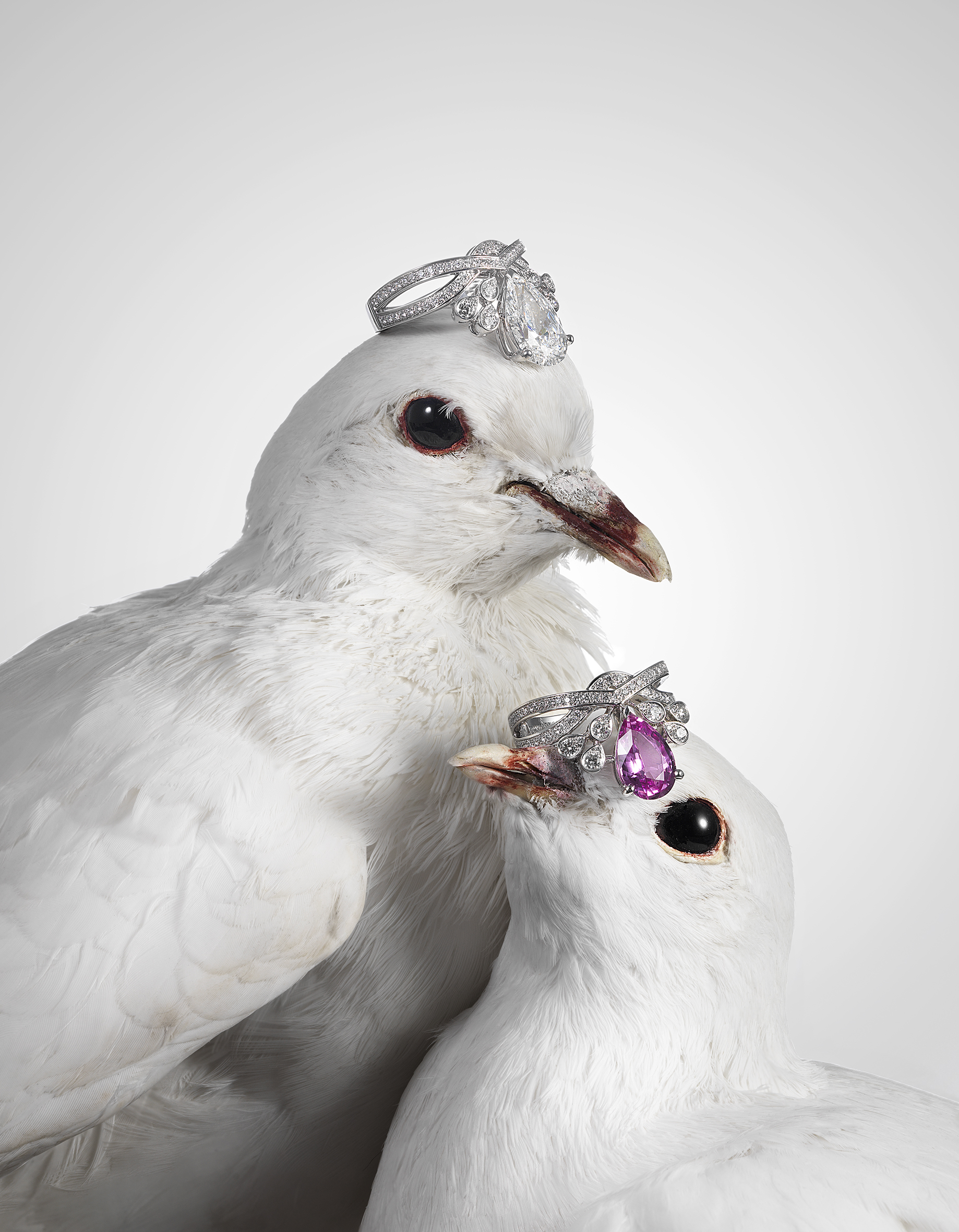 High Jewellery-doves.jpg