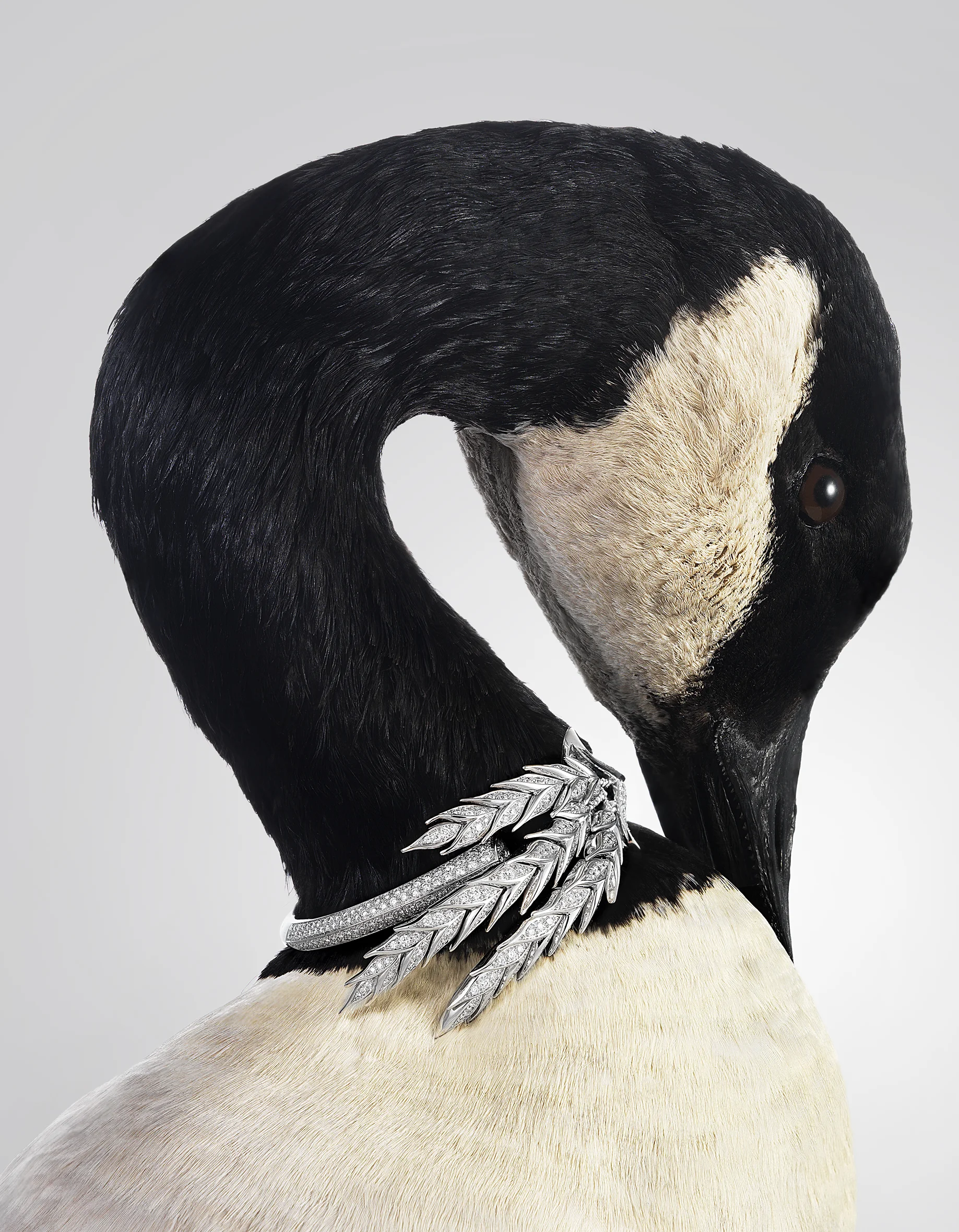 High Jewellery-duck.jpg