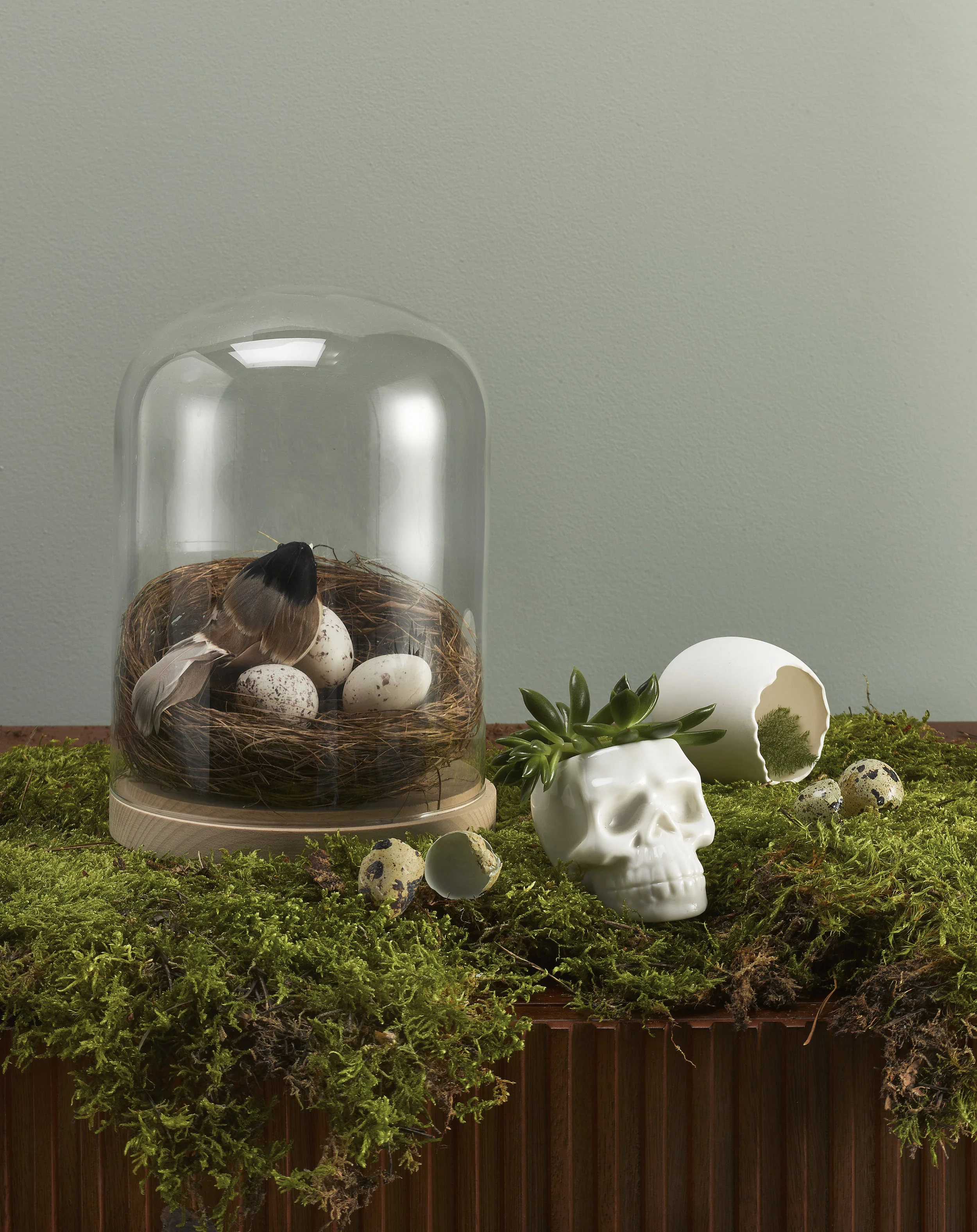 YOU-natural history-detail.jpg