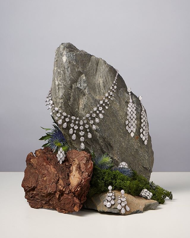 Stunning Flora and Fauna inspired gems that show off the wonders of nature from the @davidmorrisjeweller white diamond collection shot by the talented @tobijenkinsimages for @mojeh_magazine 😍 Styled by @elizascarborough⠀⠀⠀⠀⠀⠀⠀⠀⠀
#bts #btstalent #bts