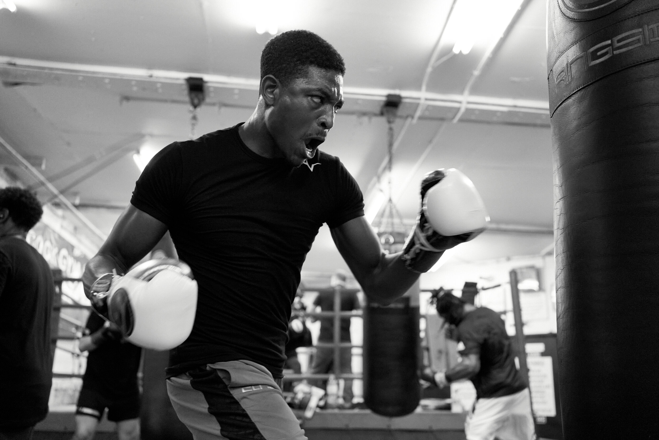 20191210_Umar_Peacocks_6663 1.jpg