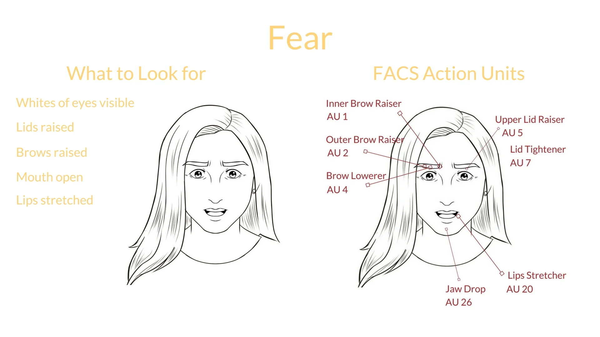 What Are Universal Expressions My Alcomy Sophie L Zadeh