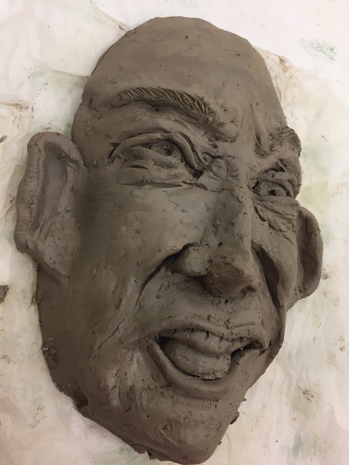 Professional Development Activity Away Day, Perth, Disgusted Facial Expression of Emotion, Clay Sculpture