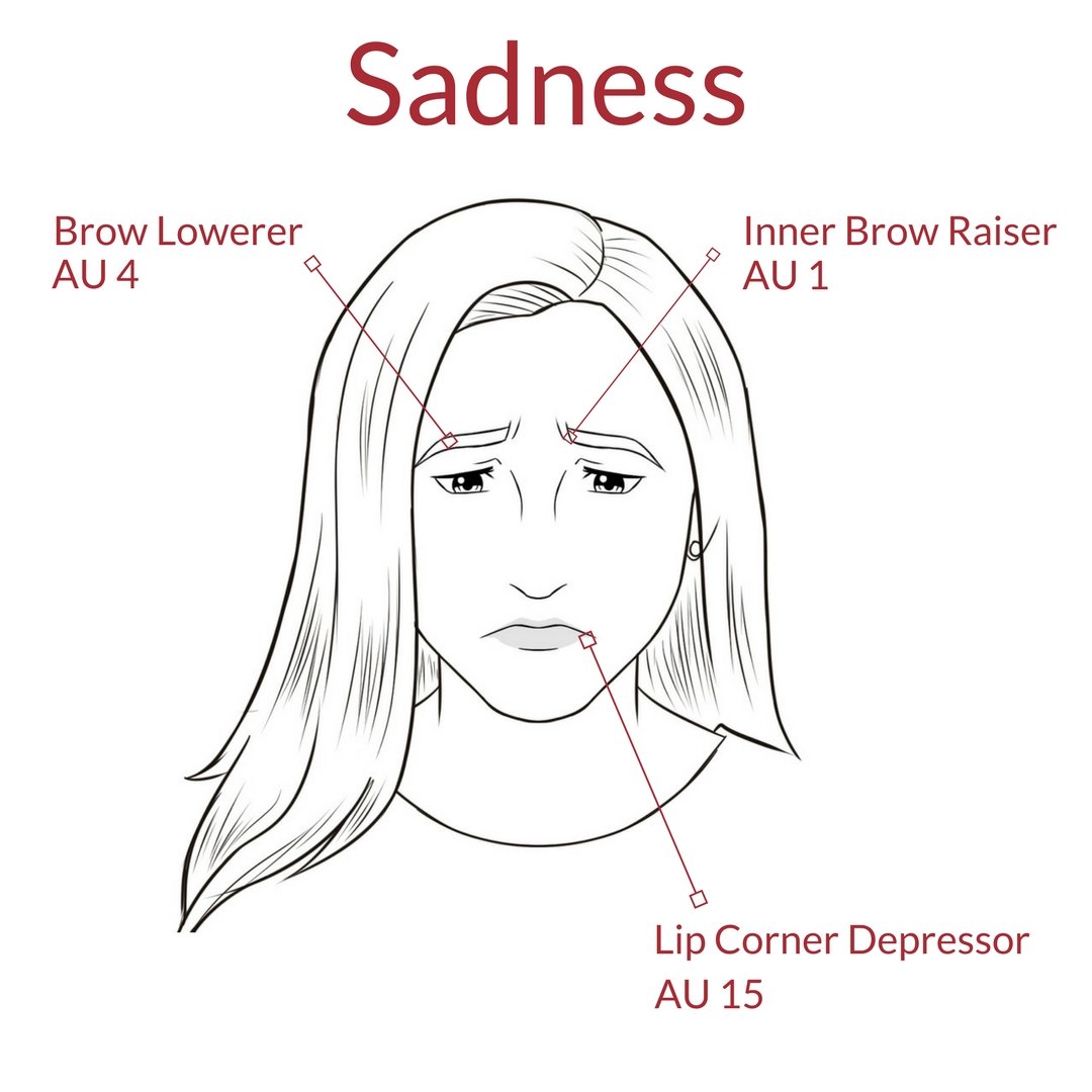 Facial Expression of Sadness