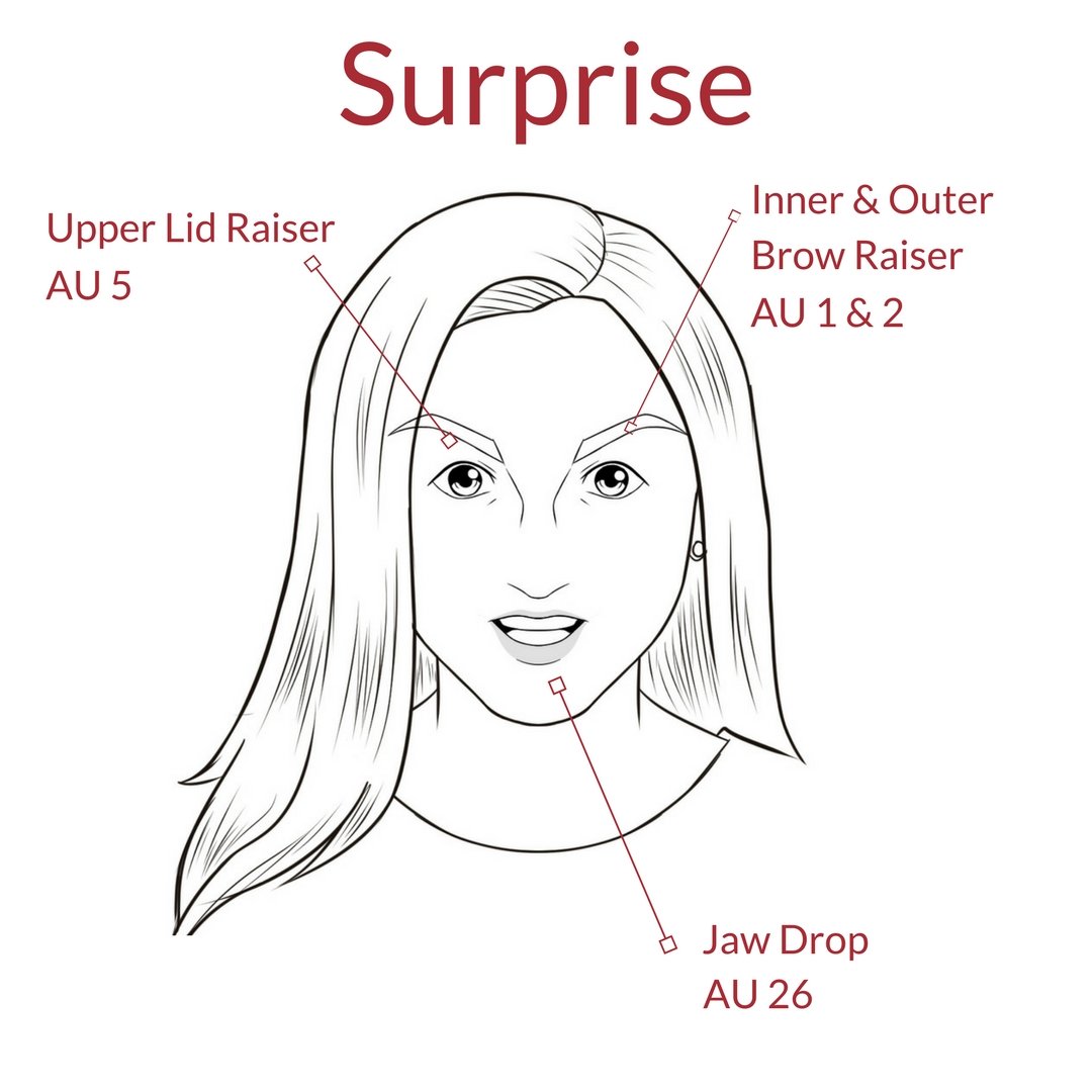 Facial Expression of Surprise