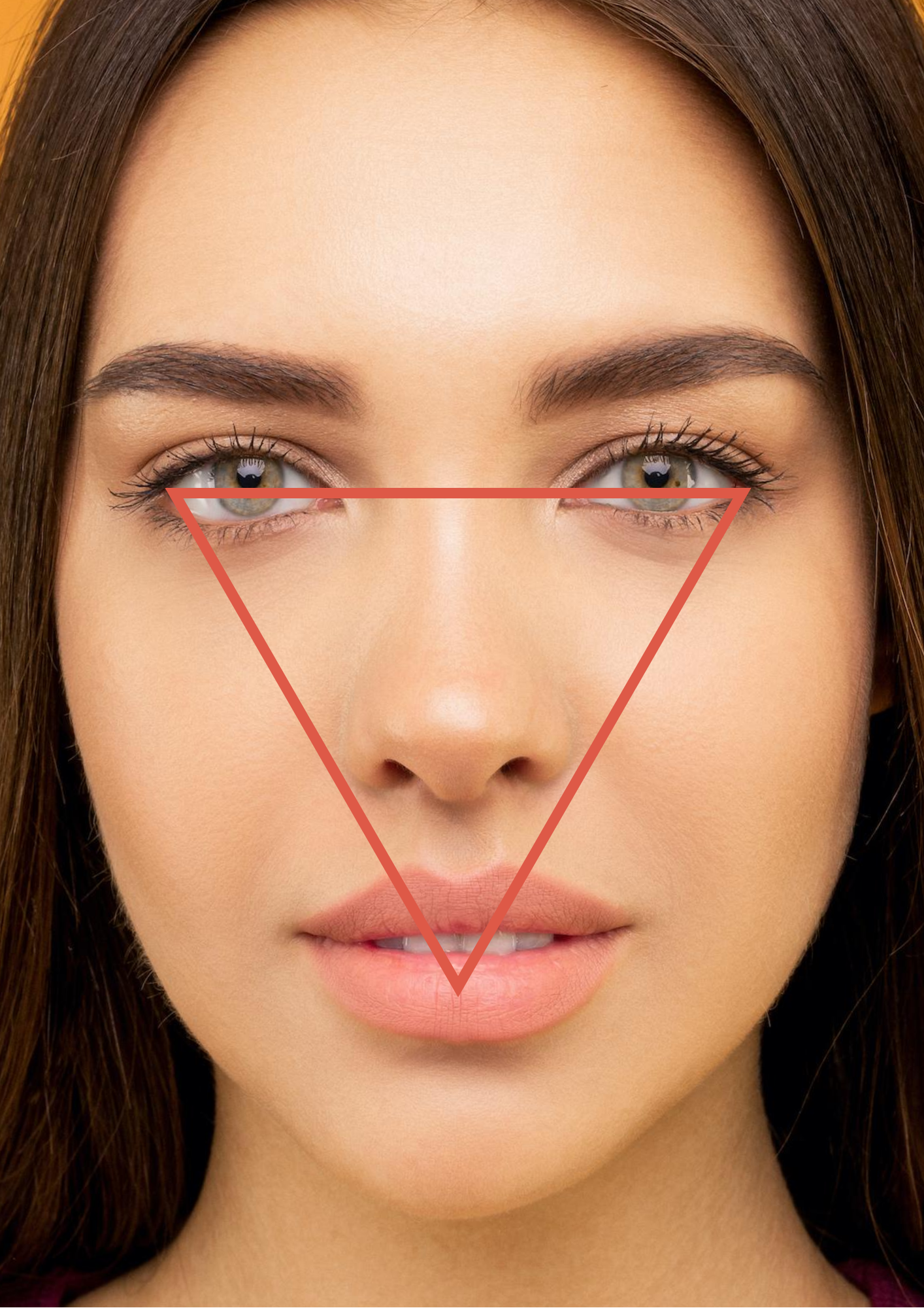 Facial Triangle.png
