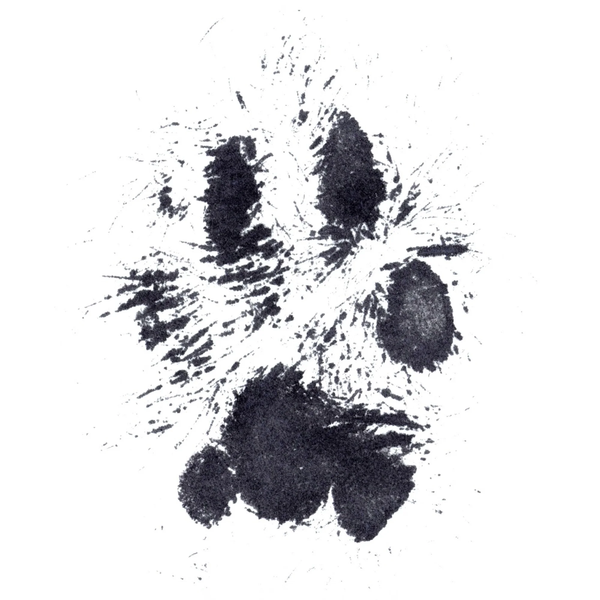 Black ink paw print