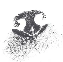 dog nose print in black ink