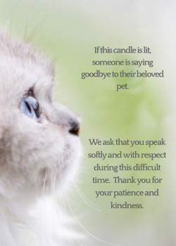 Click HERE to download this template for your practice.