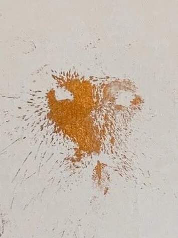 Guinea Pig nose print