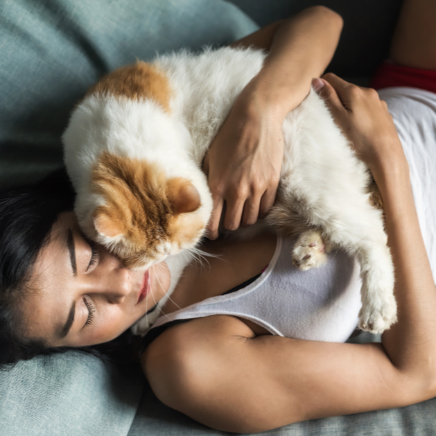 11 Ways Vet Teams Can Better Support Families During Pet Euthanasia
